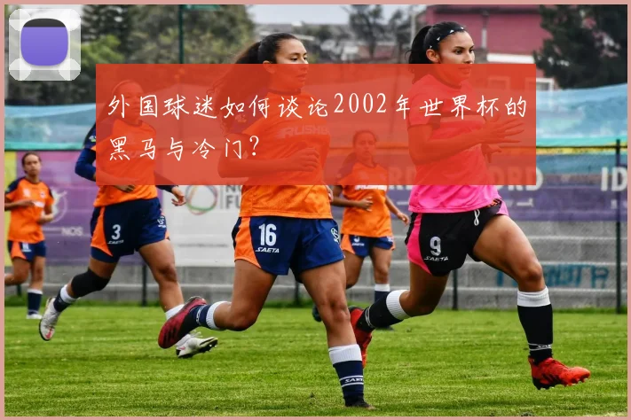 外国球迷如何谈论2002年世界杯的黑马与冷门？