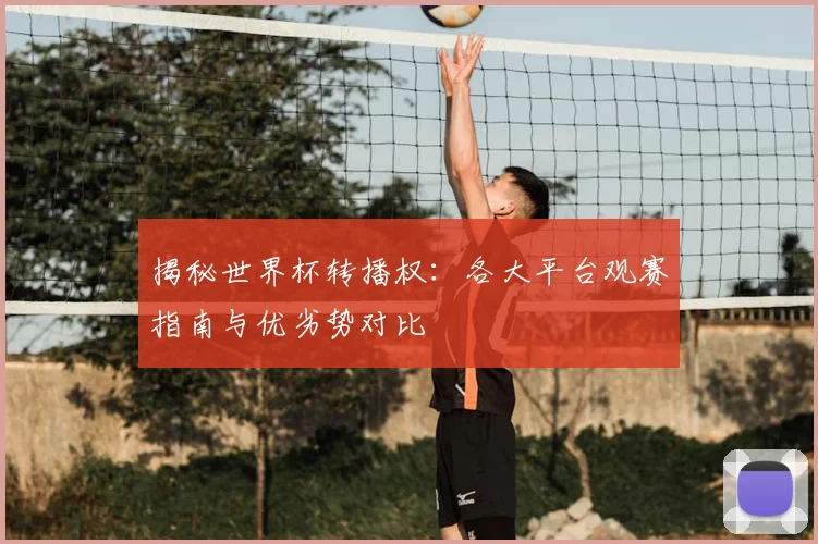 揭秘世界杯转播权：各大平台观赛指南与优劣势对比