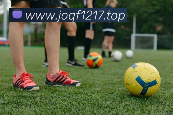 开云官方在线登陆入口APP 封面图